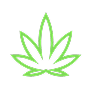 Cannabis Leaf