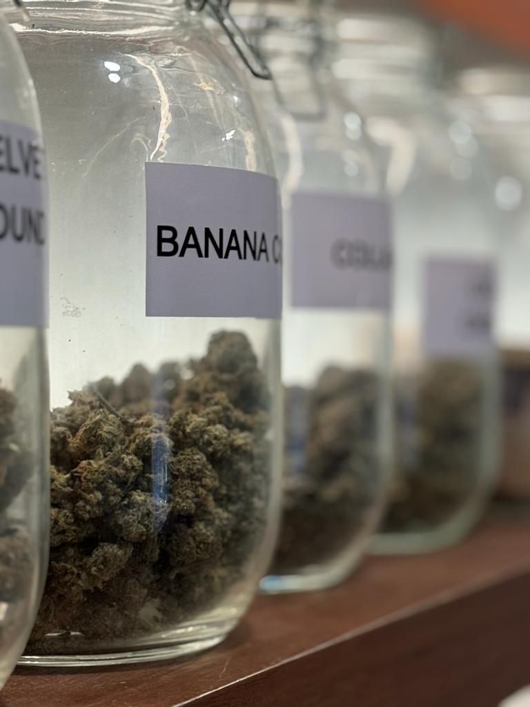 Premium Indoor
